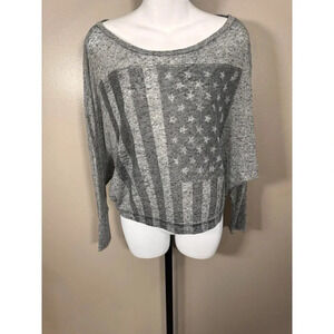 Brandy Melville VINTAGE American Flag Eagle Gray Long Sleeve Crop Top